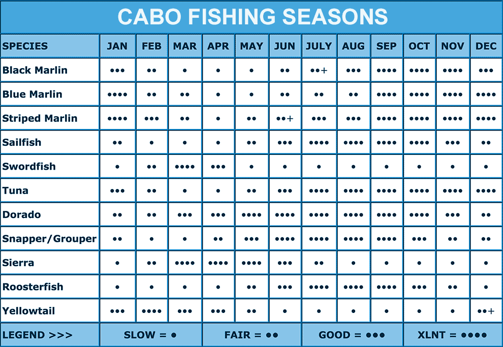 Cabo Fishing Fish Calendar Fishing Tips Tutorials Fishing Map